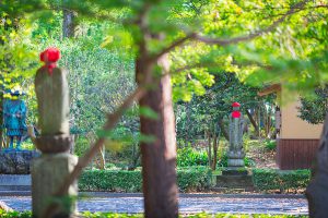 栃木県足利市 鑁阿寺での七五三撮影|出張カメラマン